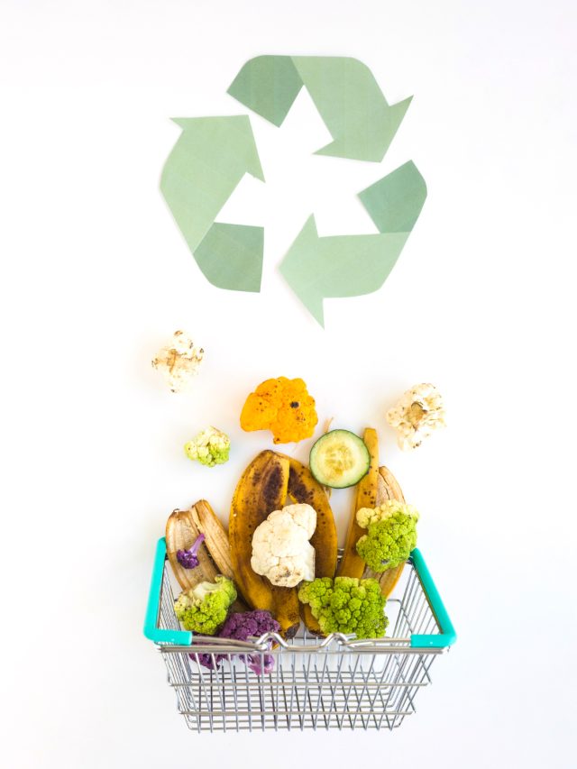 Recycle Leftovers into Snacks